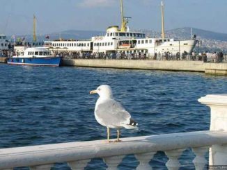 daily istanbul tours packages