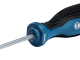 1600A01V0B Bosch Profesyonel Torx Tornavida TX15x75
